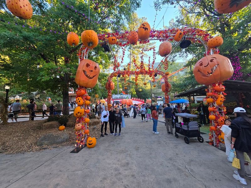 Seasonal Festivals and Holiday Events