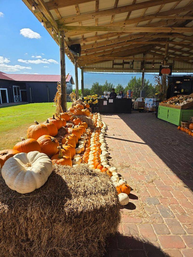 The Fall Festival: Pumpkins, Corn Mazes, and Pure Autumn Joy