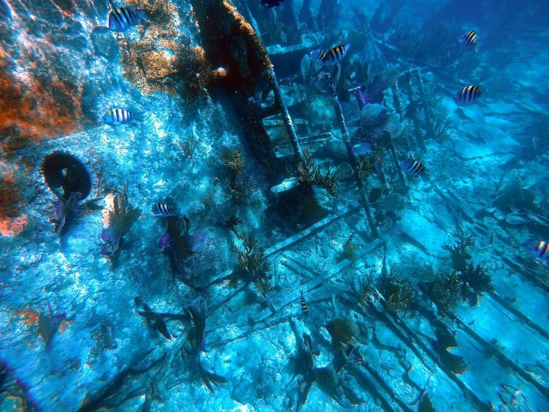 Resting Place: The Wreck Today