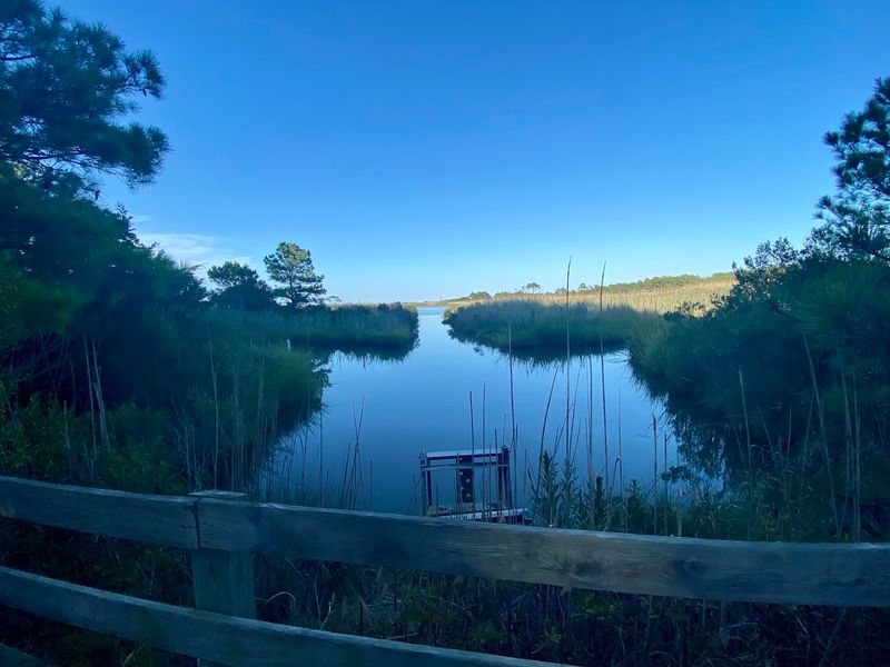 Gordon's Pond and Its Coastal Ecosystem