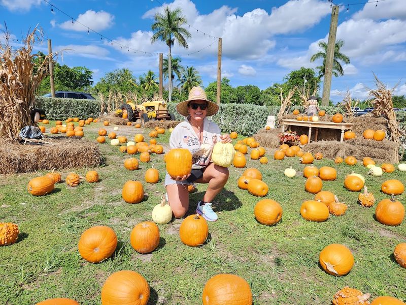 Family Playgrounds and Bounce Pads