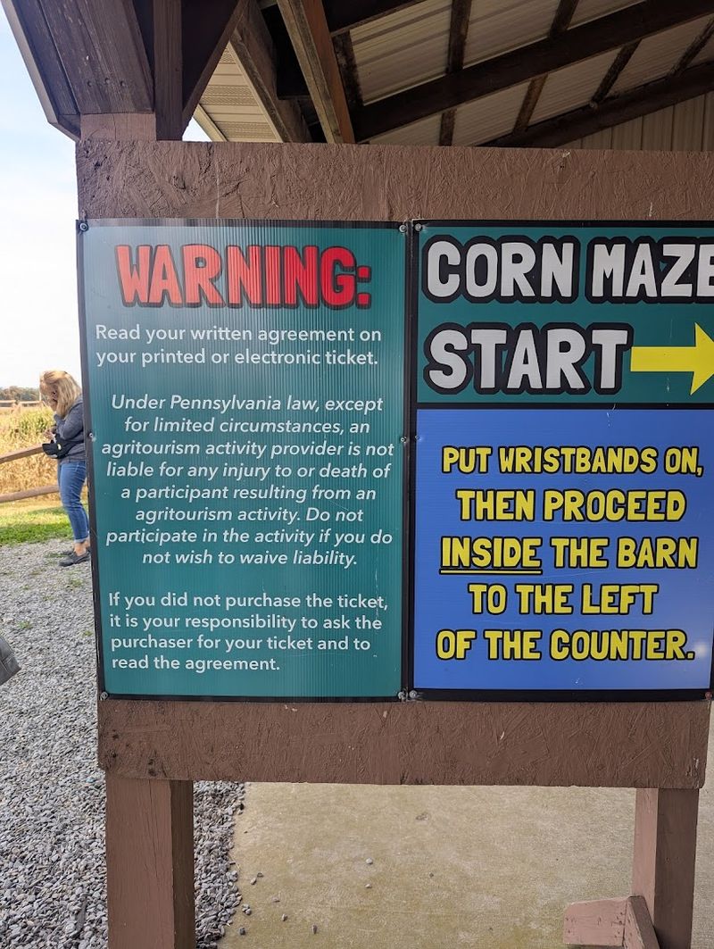 Timing, Tickets, and Strategy