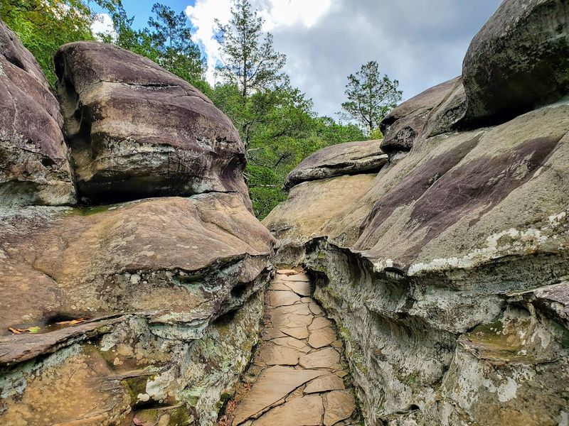 The Quarter-Mile Observation Trail (Paved and Accessible)