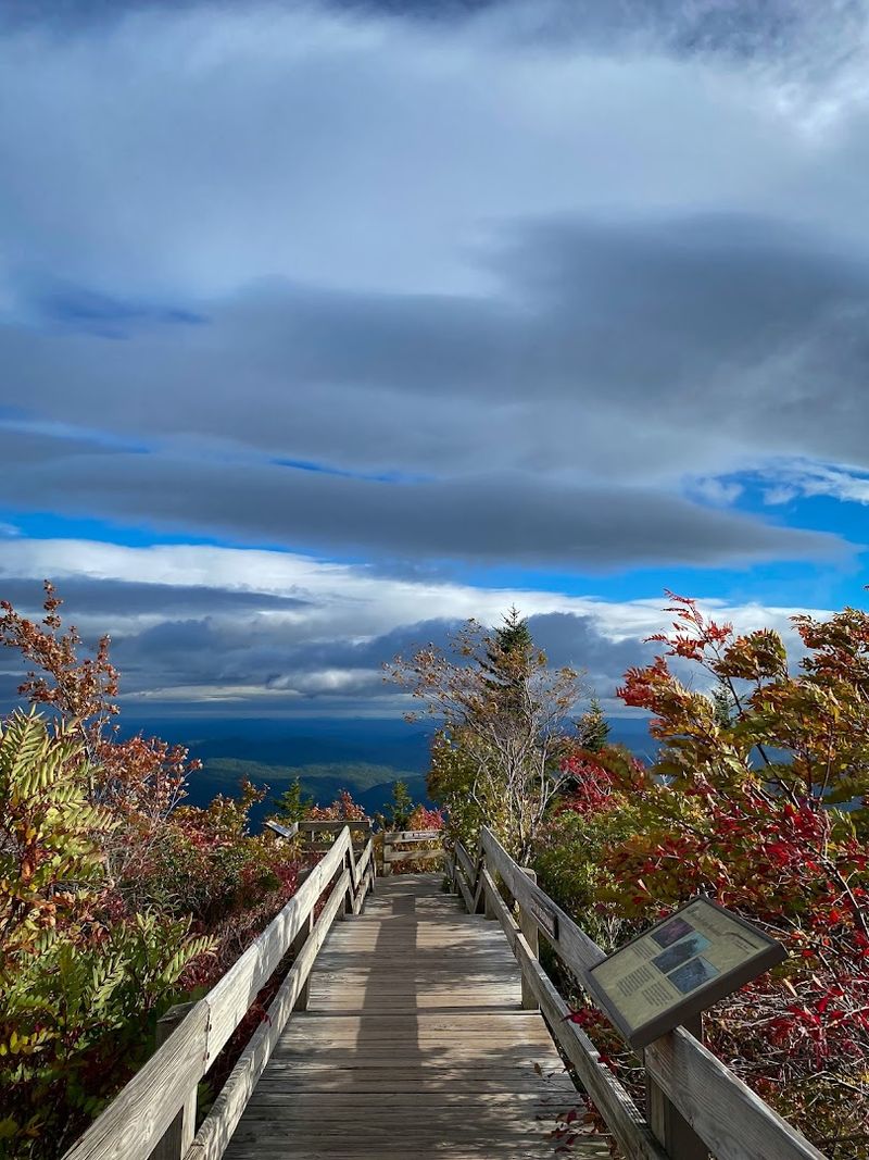 Leave No Trace and Trail Etiquette at Rough Ridge
