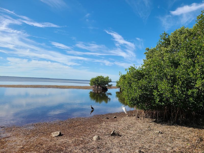 Amenities and Accessibility for All Visitors