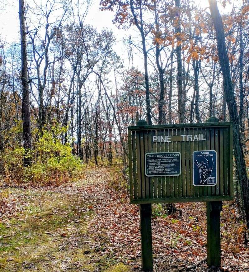 Best Trails for Views: From Easy Walks to Rugged Ridge Hikes