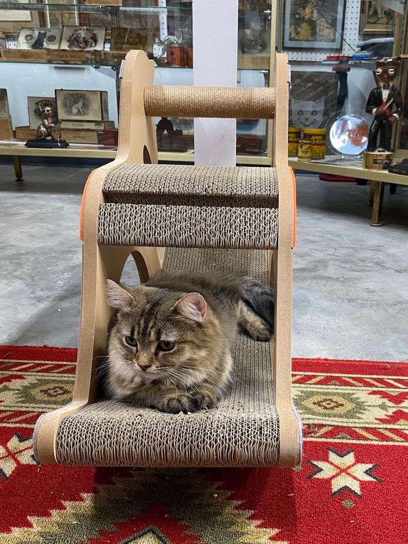 Essential Visitor Information