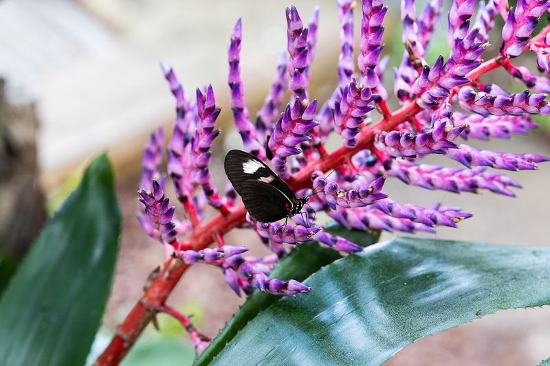 Visitor Info and Tips for Planning Your Trip