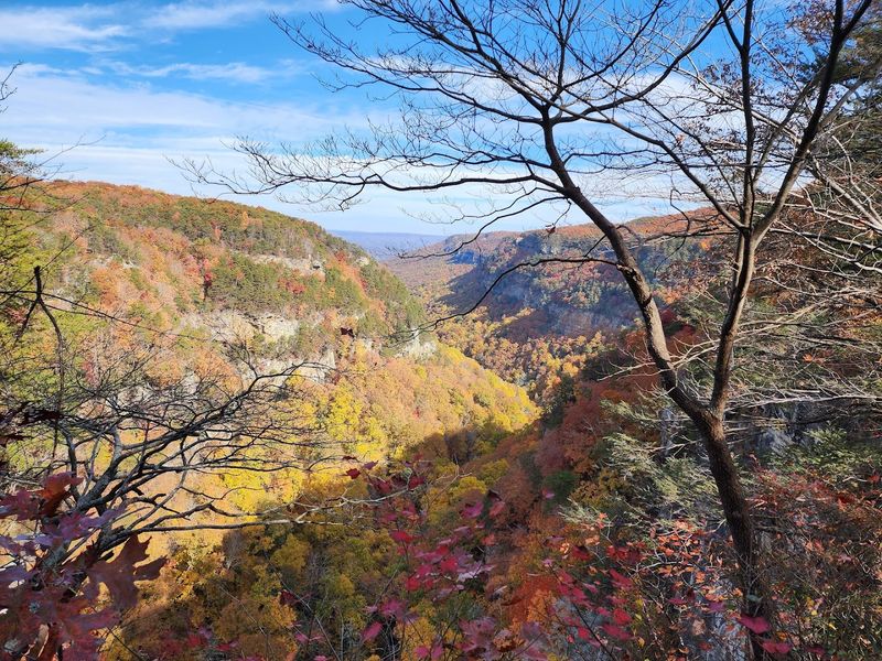 Seasonal Beauty Year-Round