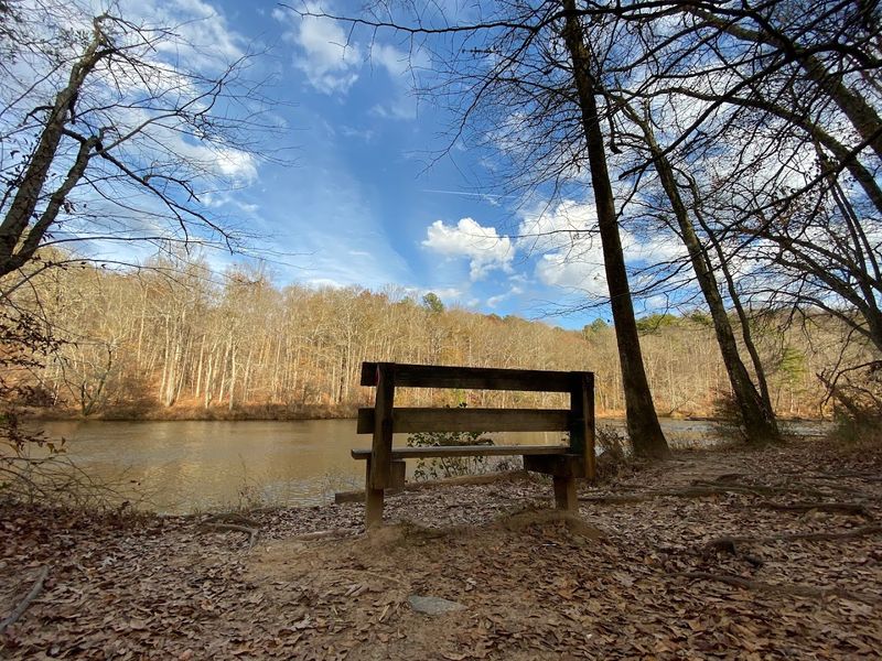 Trail Difficulty Levels for Every Type of Hiker