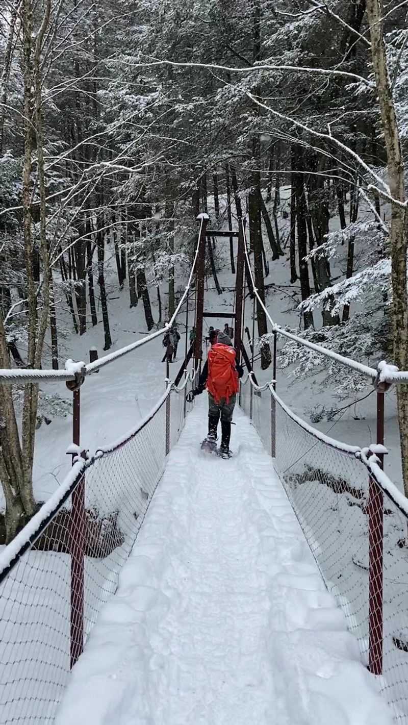 Cook Forest State Park Swinging Bridge (Leeper)