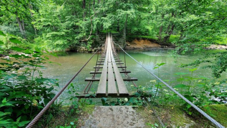 Swinging Bridges in Pennsylvania That Turn a Simple Hike Into Something Memorable