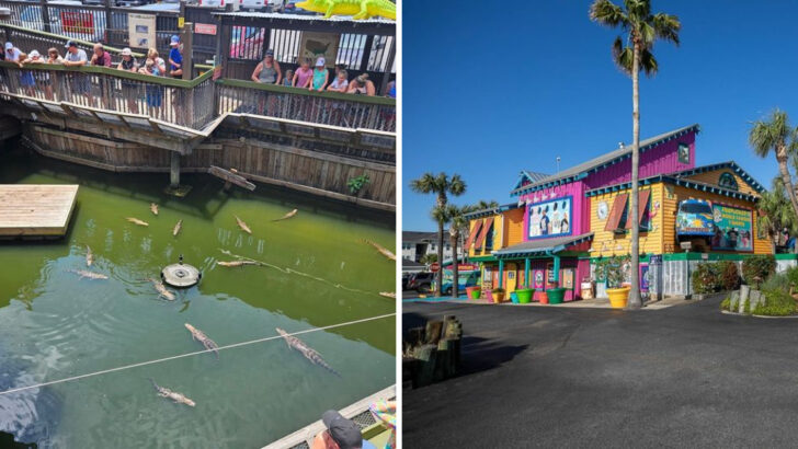 Take On A Towering Burger Challenge And Feed Live Alligators At This One-Of-A-Kind Florida Restaurant