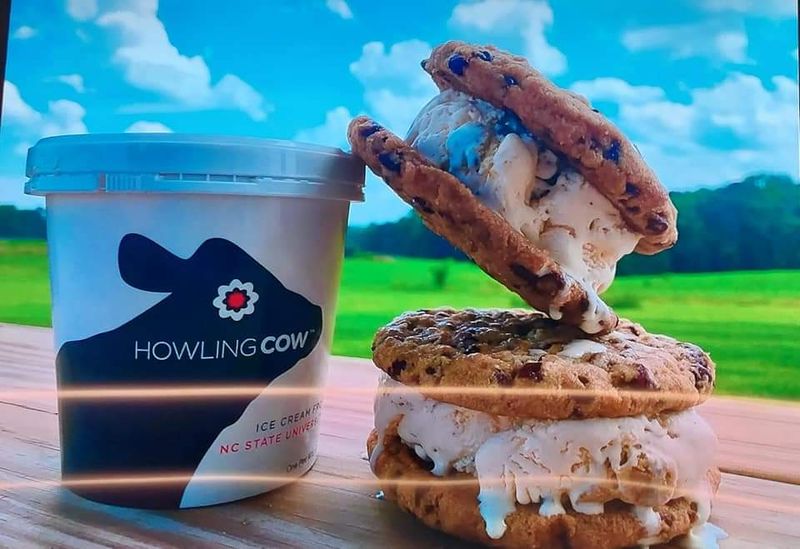 Practical Tips for Your Visit to Howling Cow