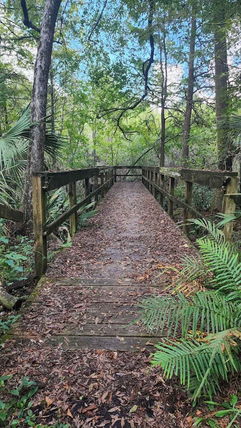 Cross Florida Greenway Hiking Corridor