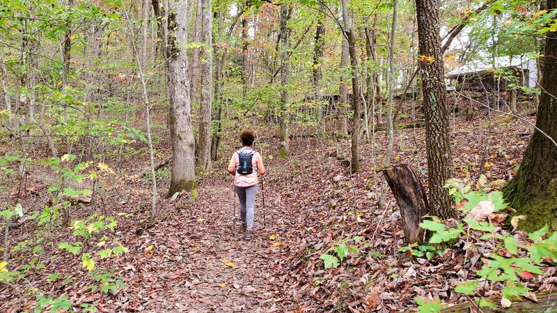 Amicalola Falls East Ridge Trail
