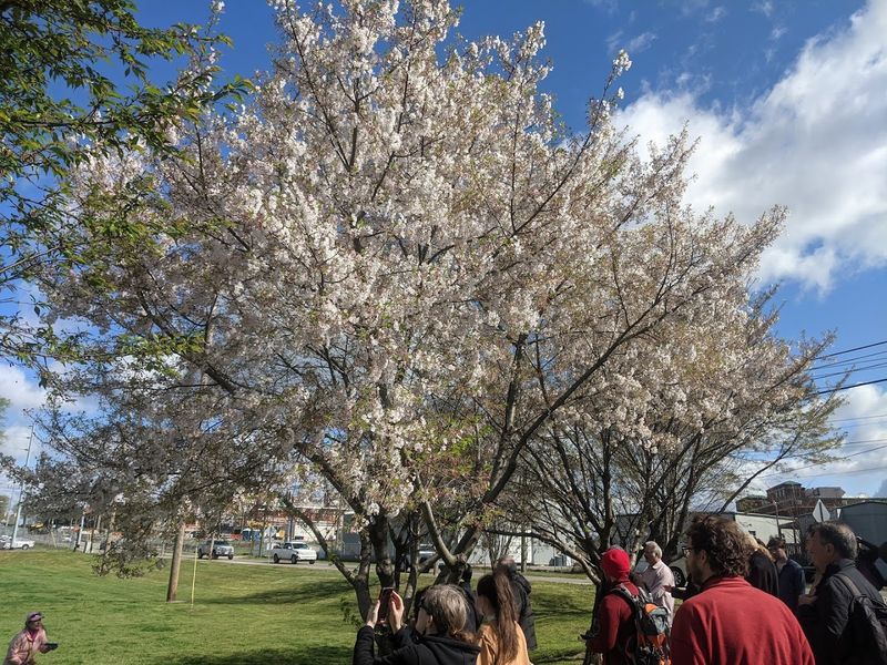 Nashville Public Square Park (Nashville)