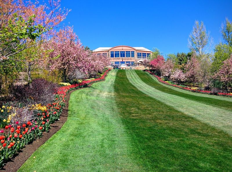 Tulip Garden at Thanksgiving Point