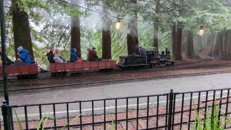 Incredibly Affordable Ticket Prices for the Whole Family