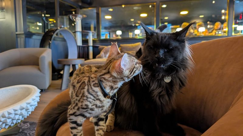 The Caring Owners and Friendly Staff