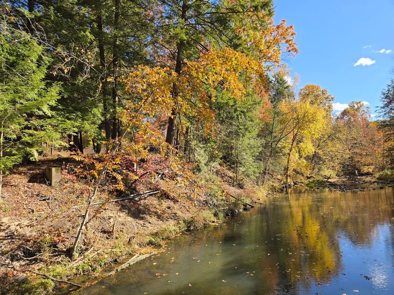 Nature Reclaims the Gorge
