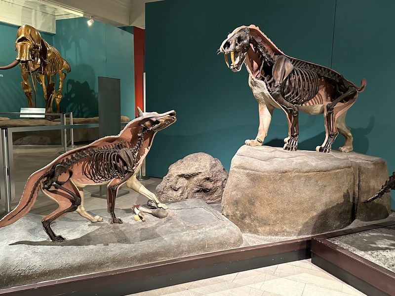 Carnegie Museum of Natural History, Pittsburgh