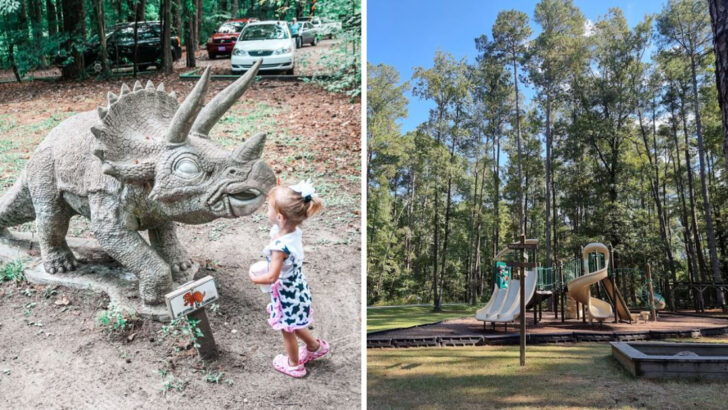 The Best Free Day Out With Kids in North Carolina Starts at a Nature Center Tucked Into 76 Acres of Pine Forest