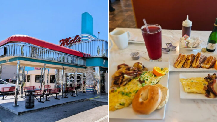 The Best Old-School Diners in Florida Still Feel Like the 1950s and Every One of Them Is Worth the Drive