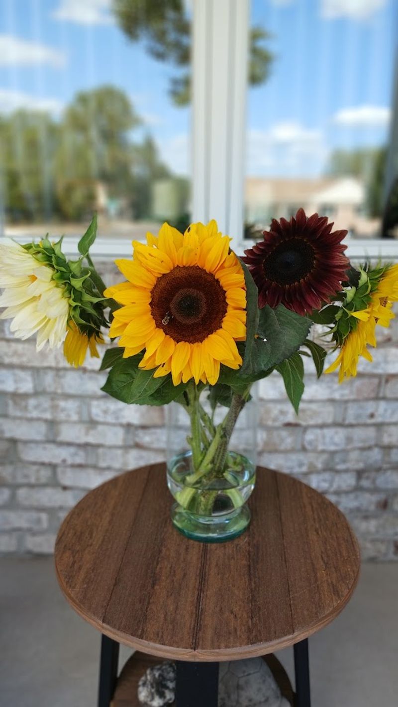 Pick Your Own Sunflowers for Just One Dollar