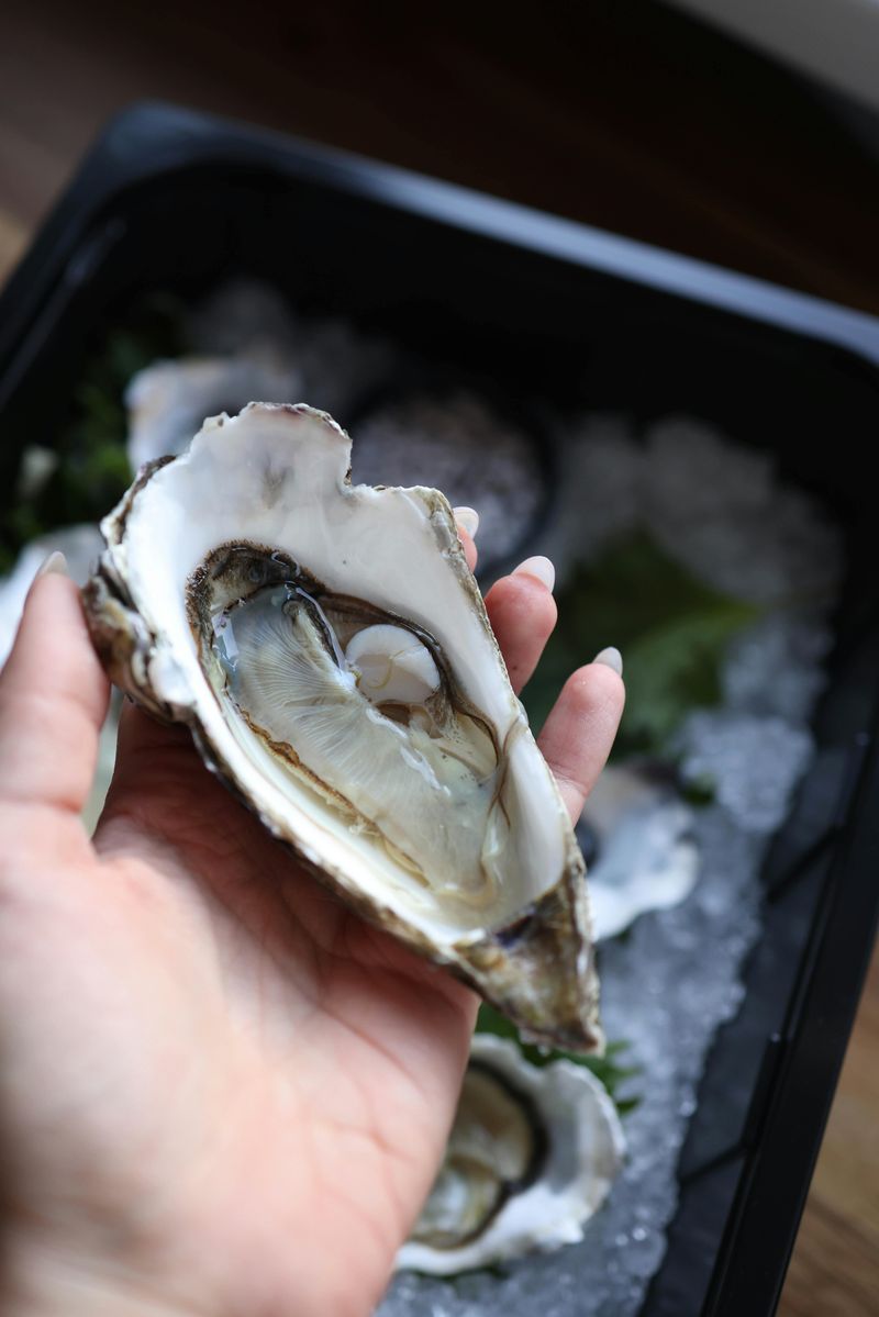 The Legacy of the Oyster Industry