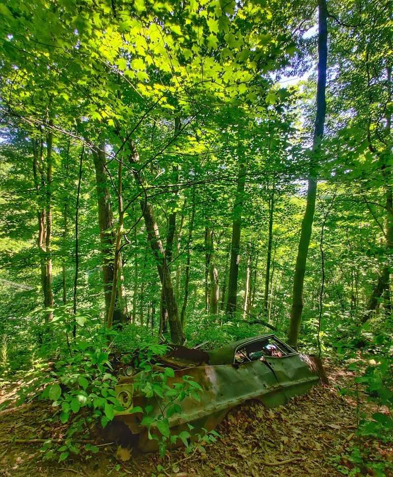 The Cold War Nike Missile Site