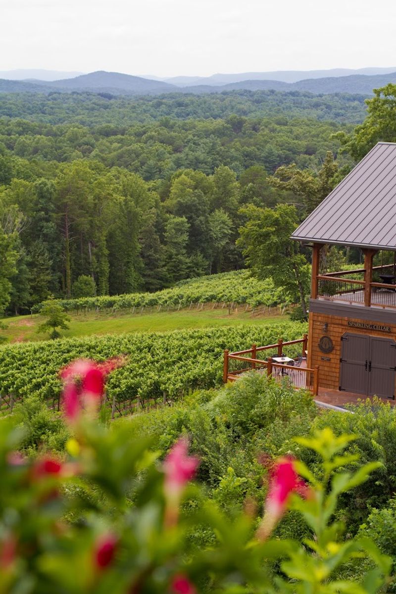 Wine Country in the Mountains: Dahlonega's Surprising Vineyard Scene