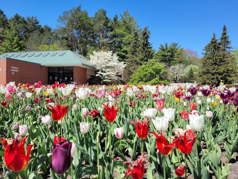Seasonal Plant Displays and Flower Beds