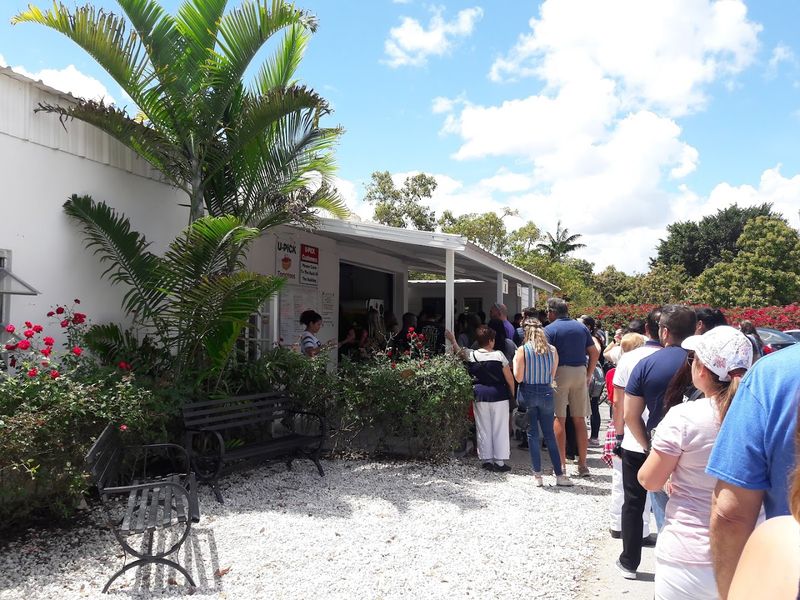 Tradition and Community: A Generational Ritual