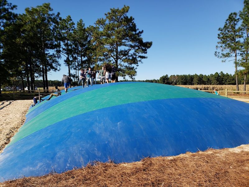 The Giant Jump Pillow and Kids' Playground