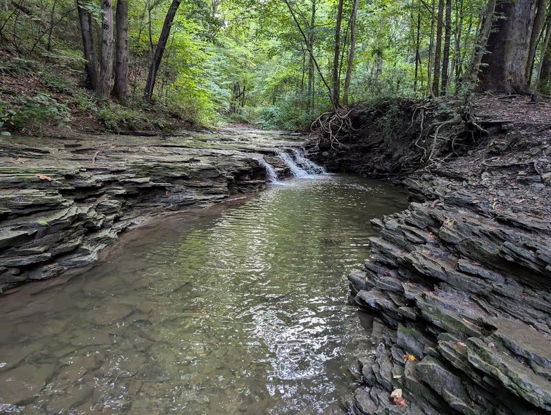 The Seasonal Scenery That Rewards Repeat Visits