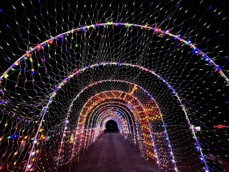 Seasonal Festivals and Events