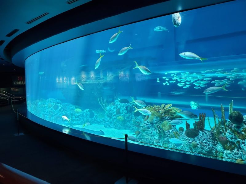 Texas State Aquarium (Corpus Christi)