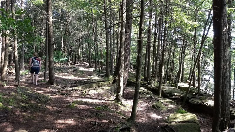 Endless Mountain Trails Perfect for Hiking and Nature Walks