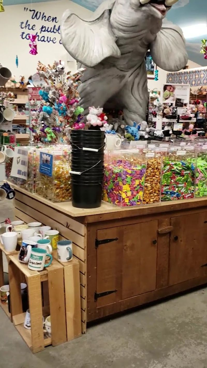 Hidden Nooks And A Secret Elephant Room