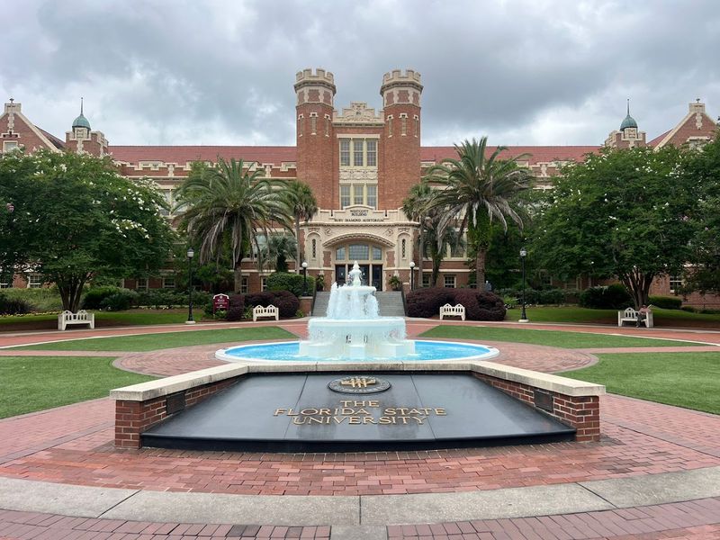 Florida State University and FAMU Bring Nonstop Energy to the City