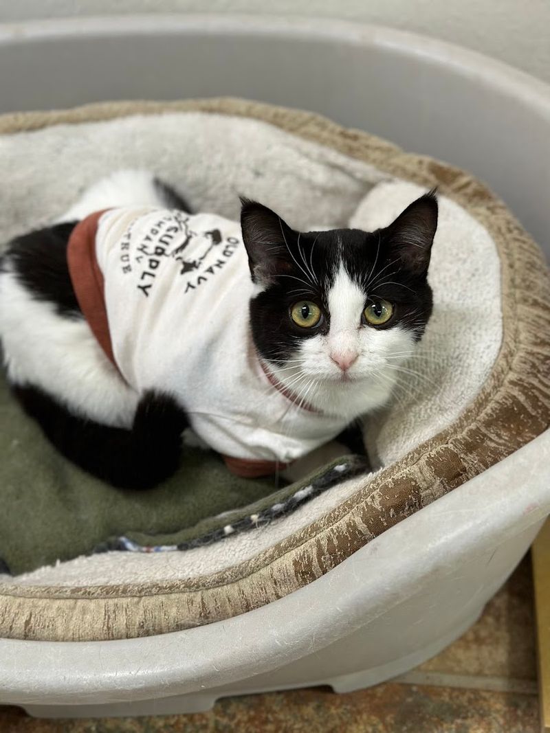 How the Sleepover Experience Works