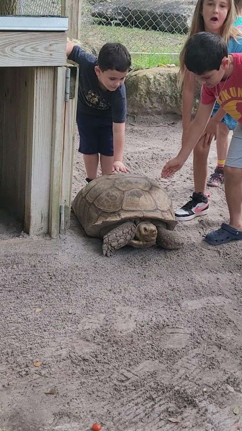 A Perfect Outing for Families With Young Children