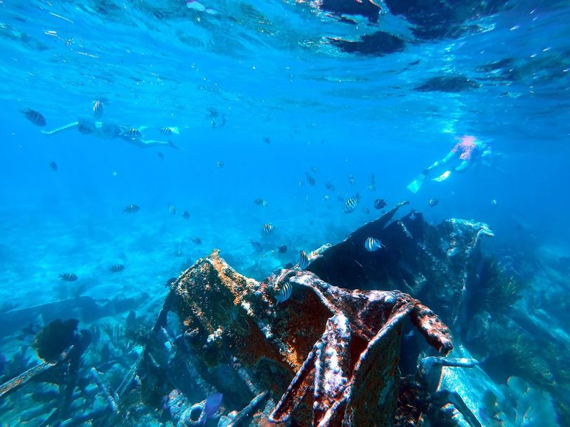 Castaways and Rescue Efforts