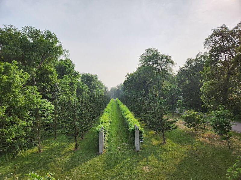 Miles of Wooded Hiking Trails: Nature Walks Through Time