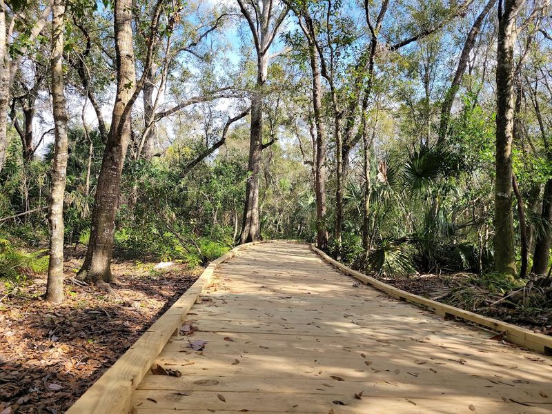 Hammock Park and Its Wildlife Wonders