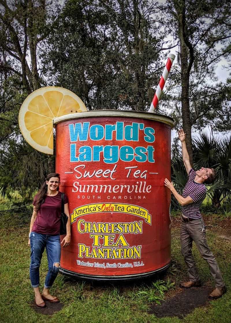 Tasting Like A Pro Without Overthinking It