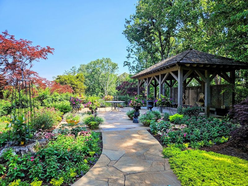 Photography Opportunities Throughout the Property