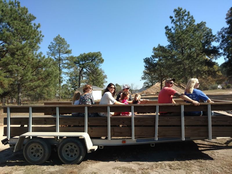 Hay Rides to the Pumpkin Patch