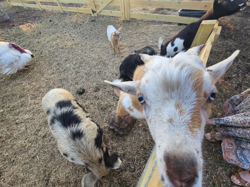 Special Events and Unique Experiences Throughout the Year